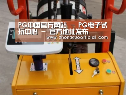 PG中国案例展示三