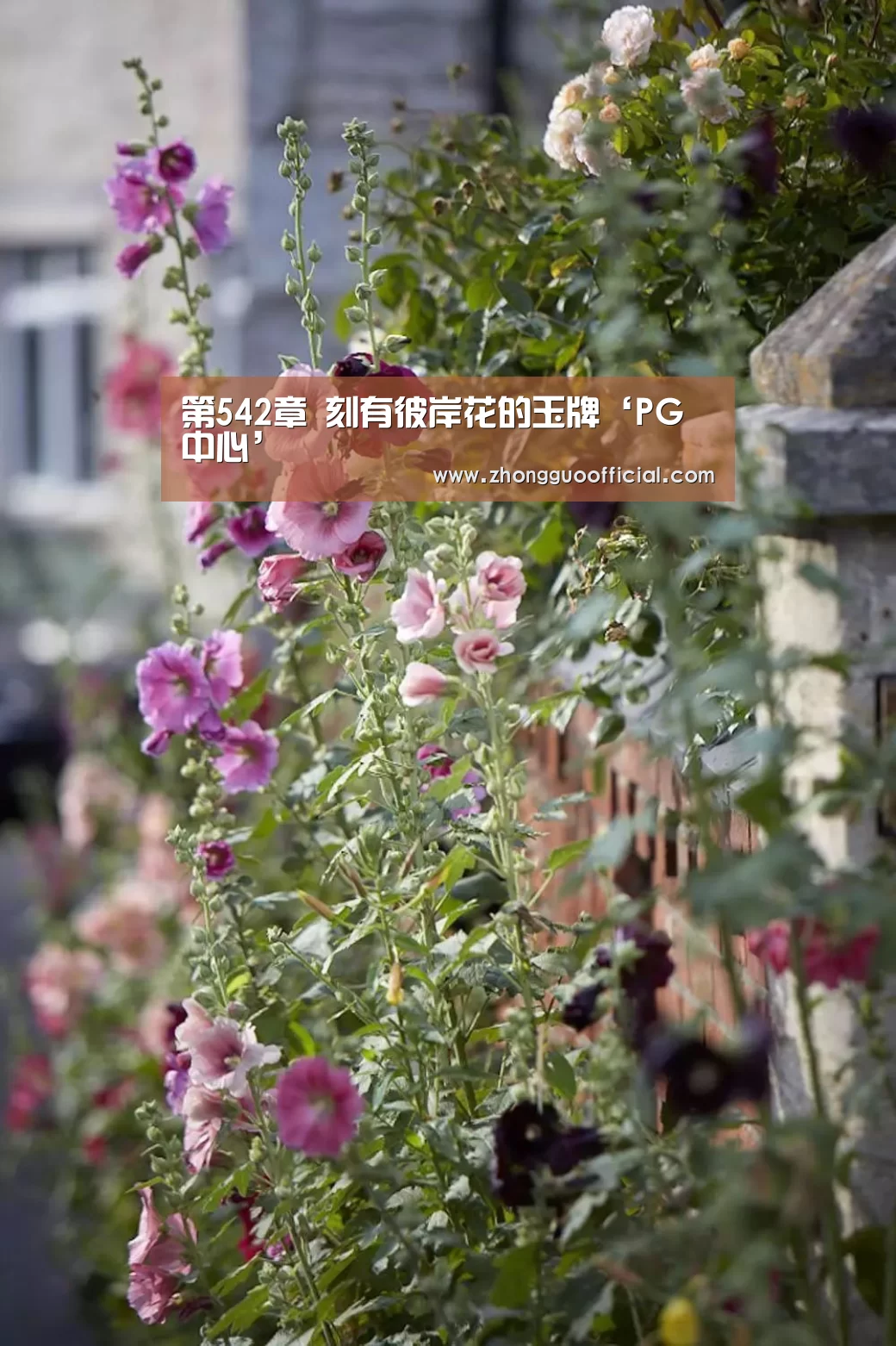 PG中国