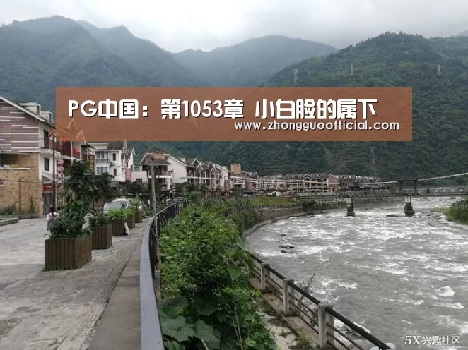 PG中国