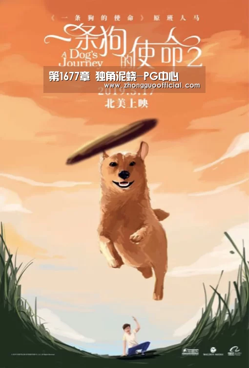 PG中国