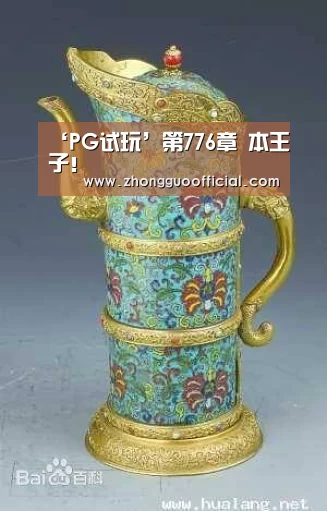‘PG试玩’第776章 本王子!(图3) PG中心